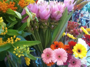 ako_sa_starat_o_kvety